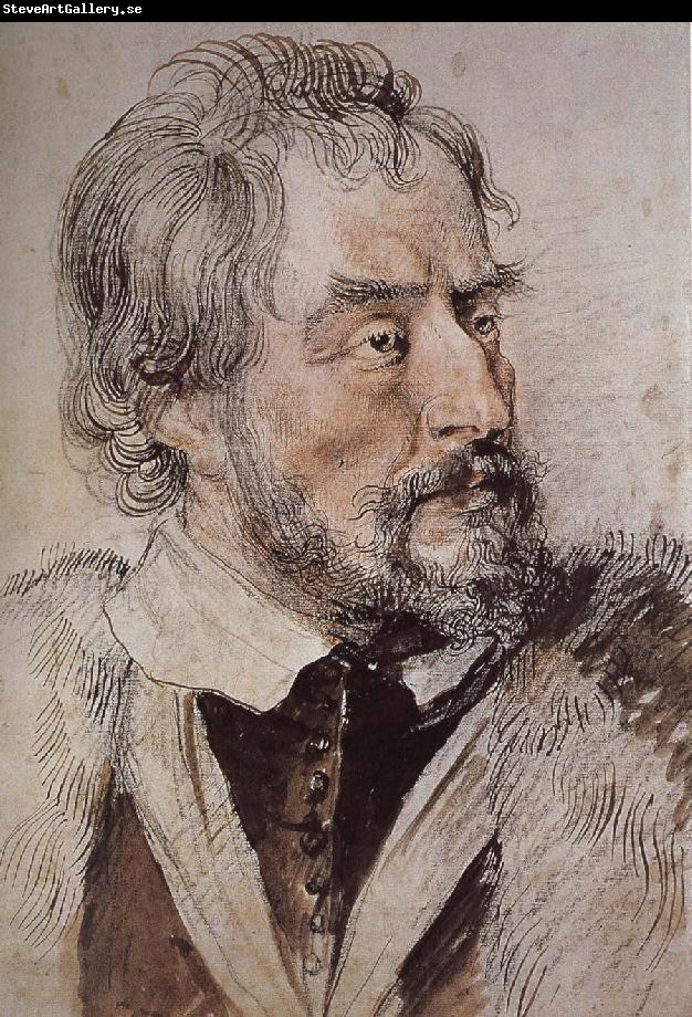 Peter Paul Rubens Portrait of thomas